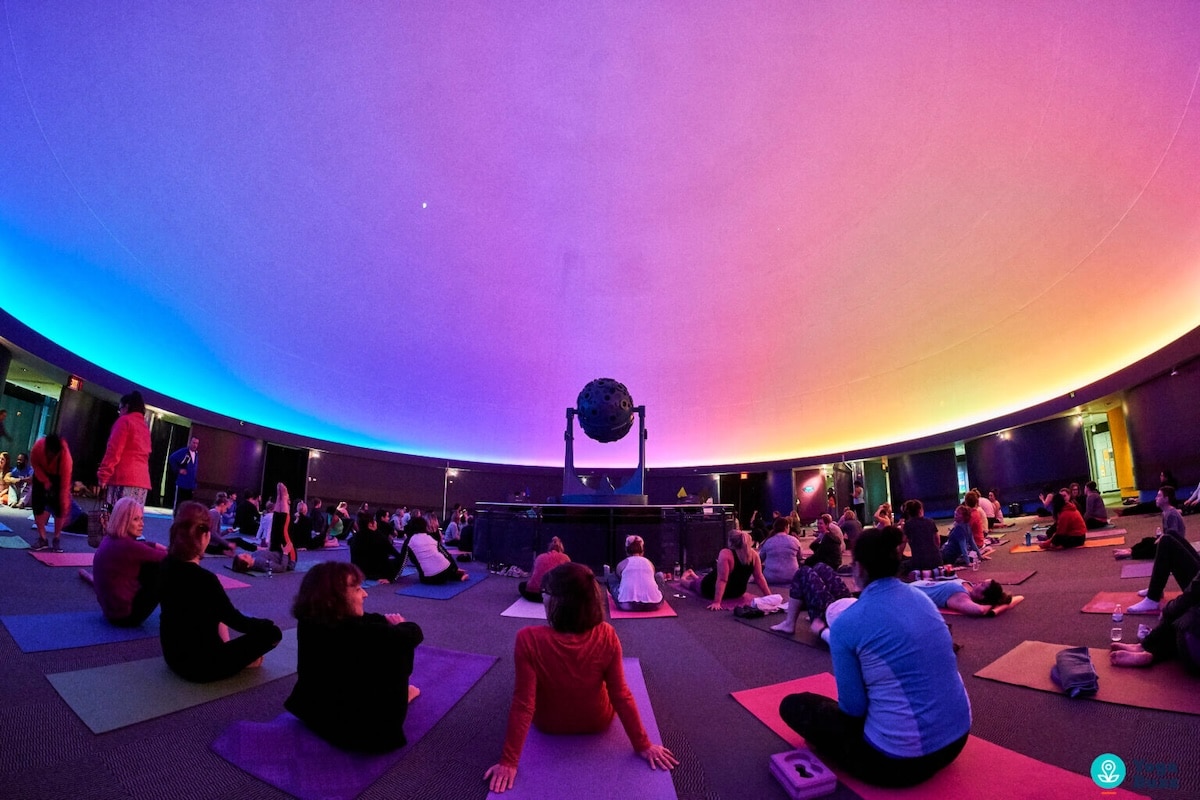 yoga under the stars st louis science center