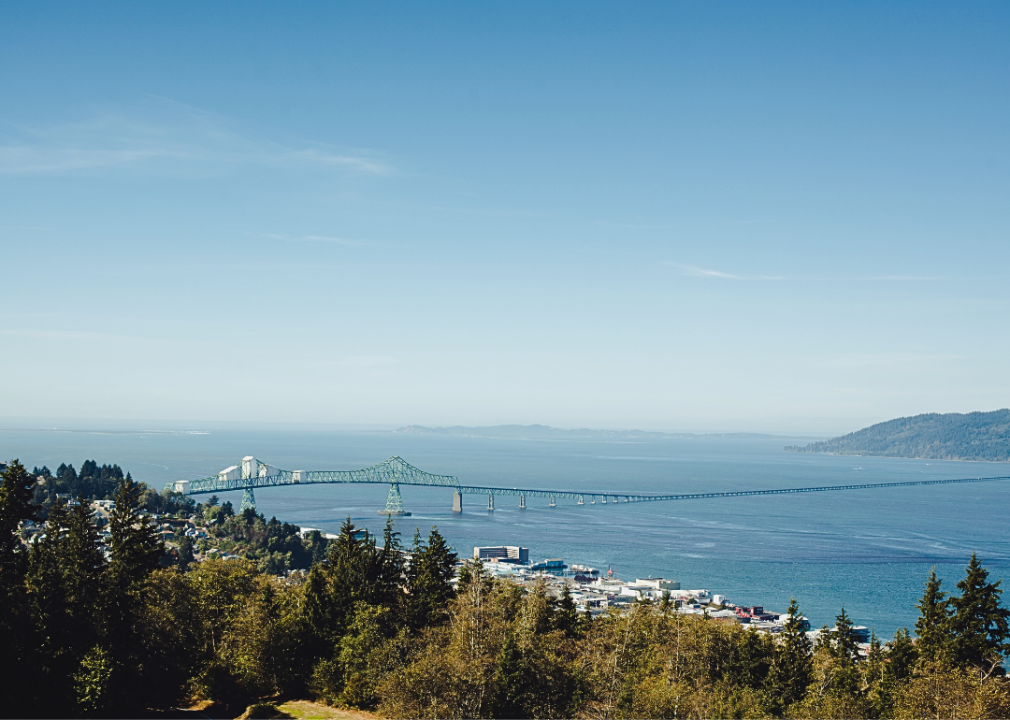 A suspention bridge over a body of water.