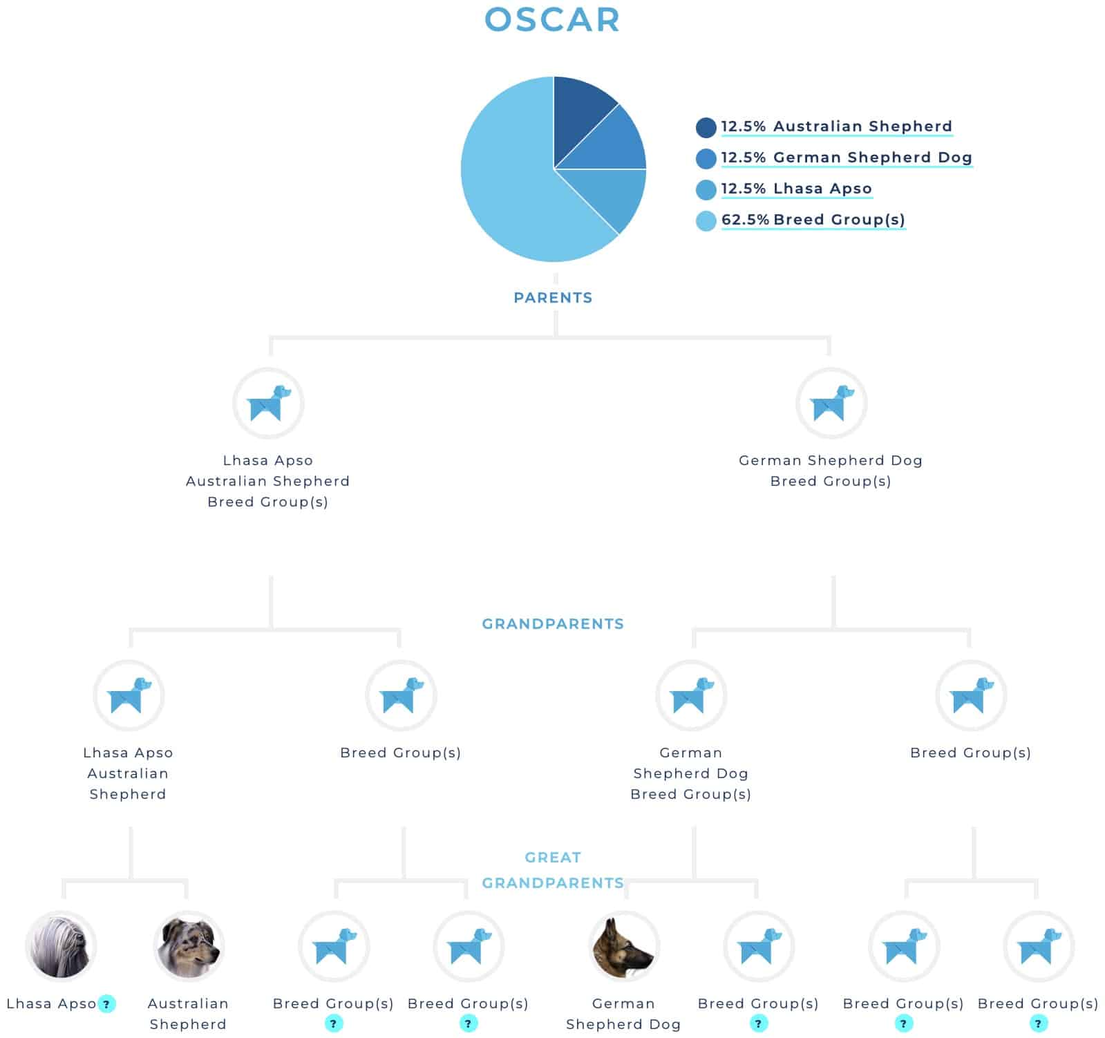 oscar dog dna family tree three generations